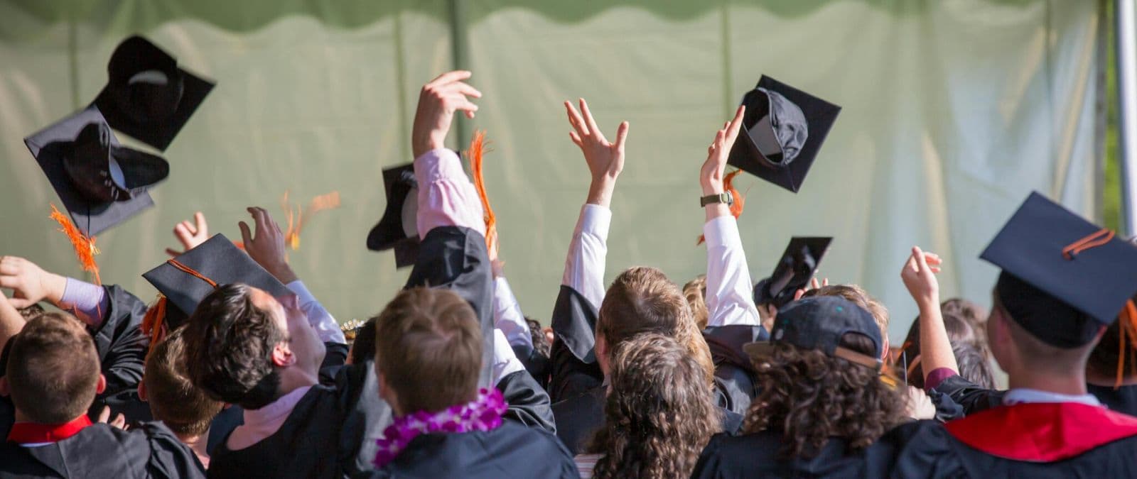BA (Hons) Pathway | Artist Business Accelerator - Blended or Online